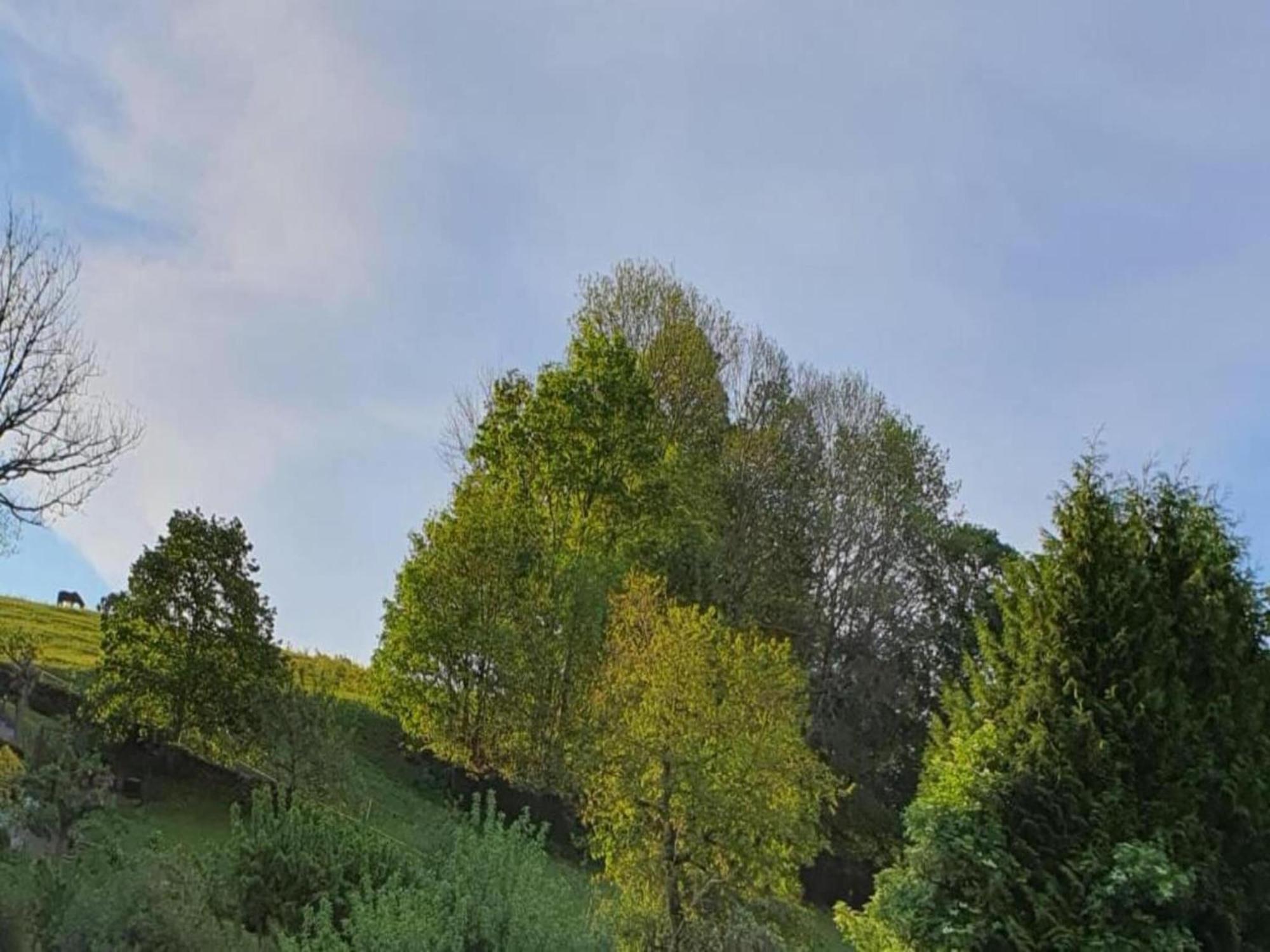 Alluring Villa In Grunhainichen Borstendorf With Garden Leubsdorf 外观 照片