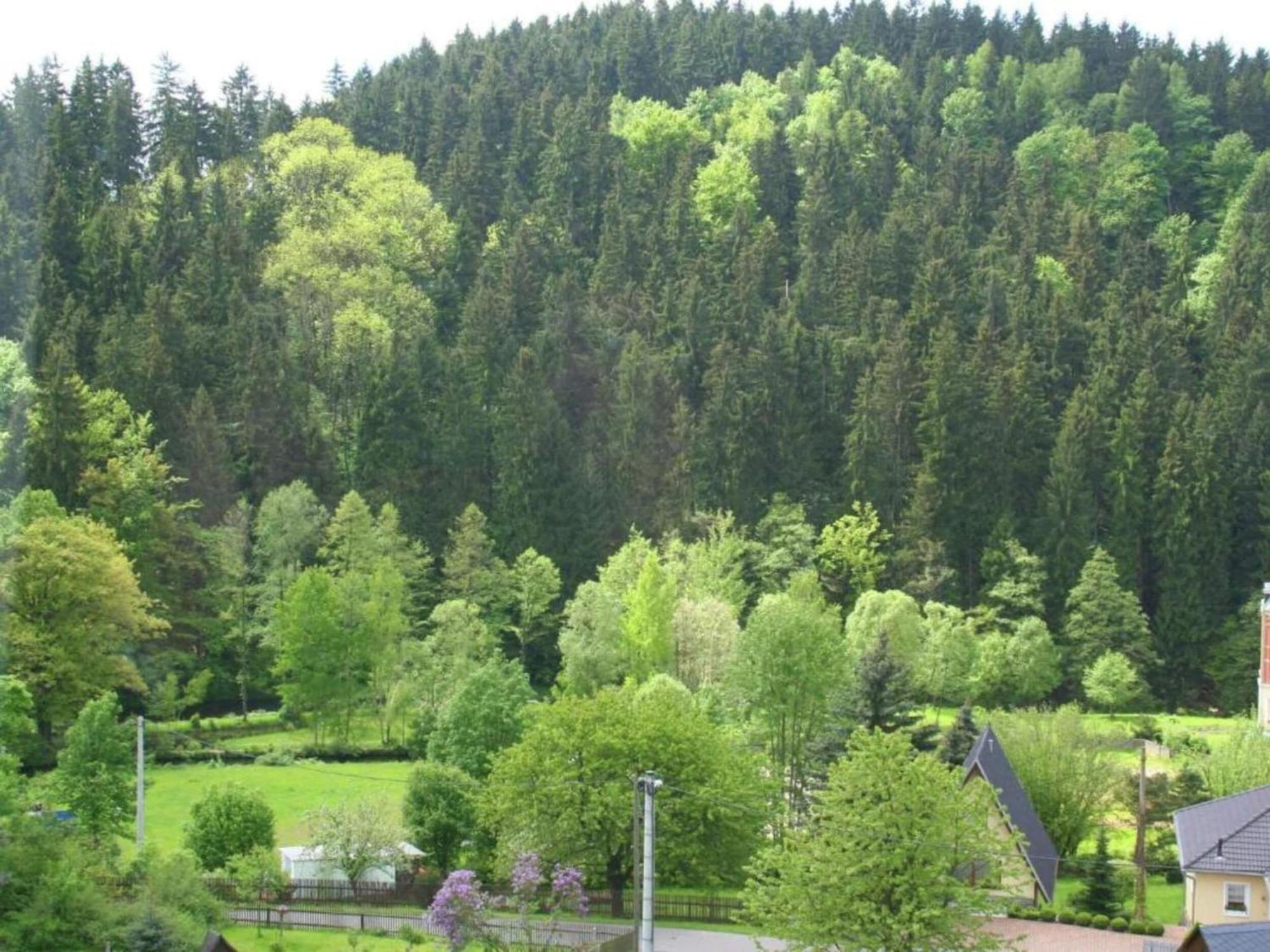 Alluring Villa In Grunhainichen Borstendorf With Garden Leubsdorf 外观 照片
